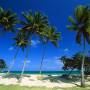 bacardi_beach_cayo_levantado_dominican_republic.jpg